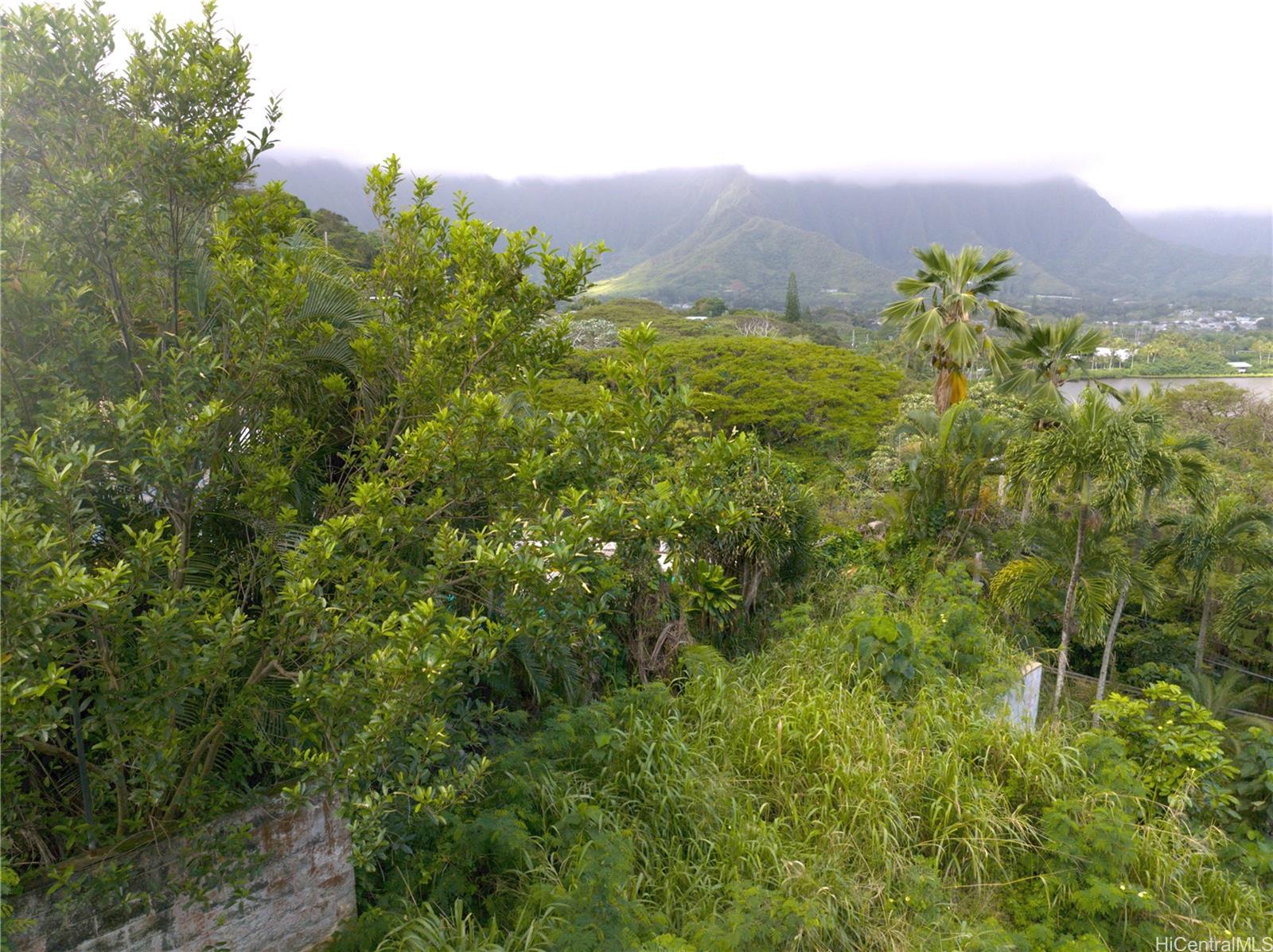 47-440 Kamehameha Hwy  Kaneohe, Hi vacant land for sale - photo 4 of 19