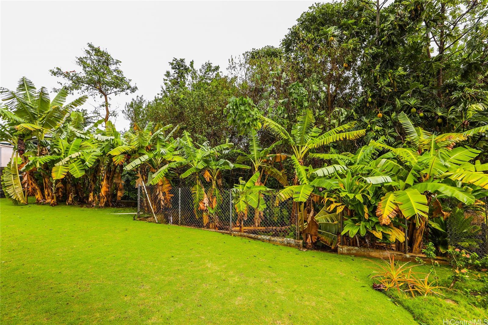 47-481  Ahulimanu Pl Ahuimanu Area, Kaneohe home - photo 21 of 23