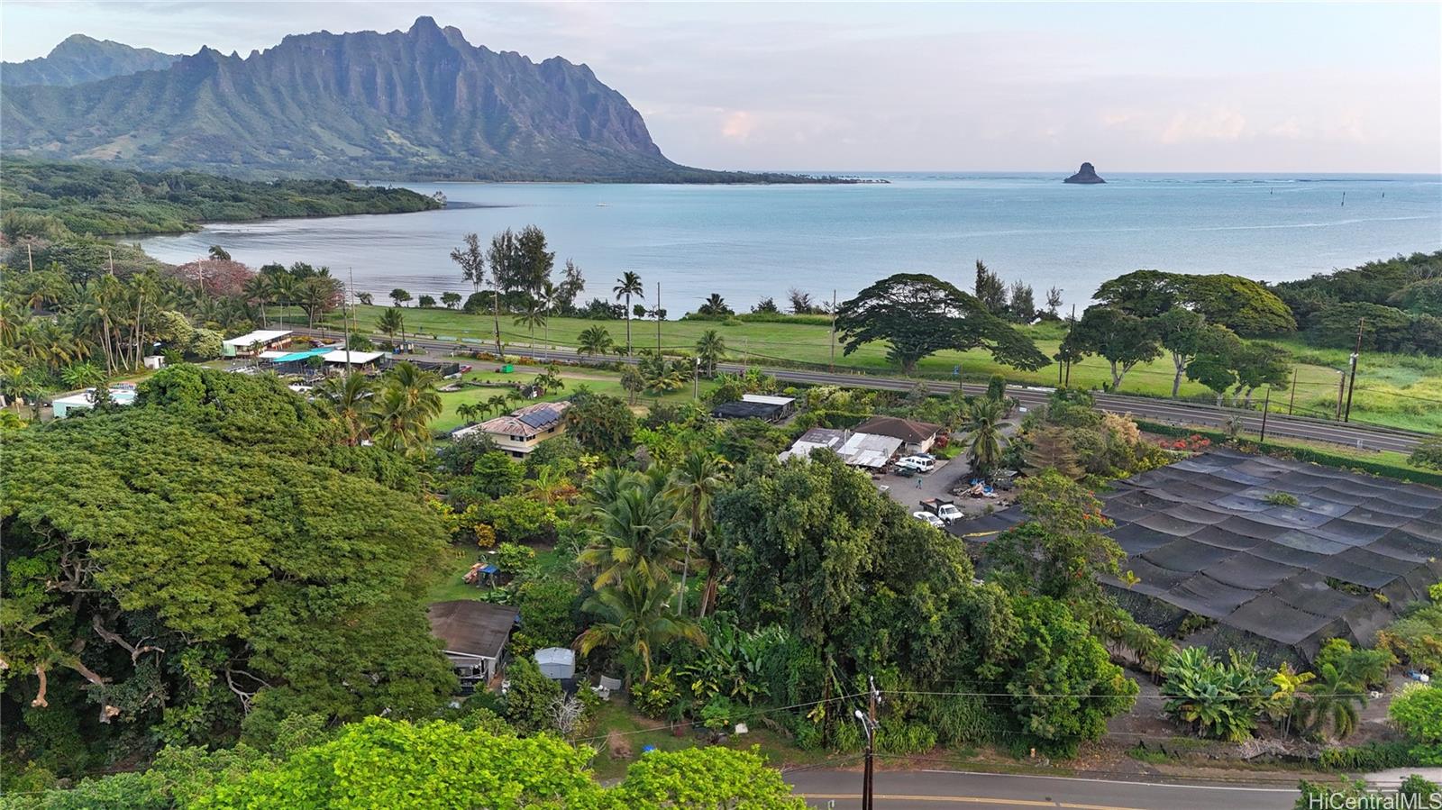 48-125 Waiahole Valley Rd  Kaneohe, Hi vacant land for sale - photo 12 of 20