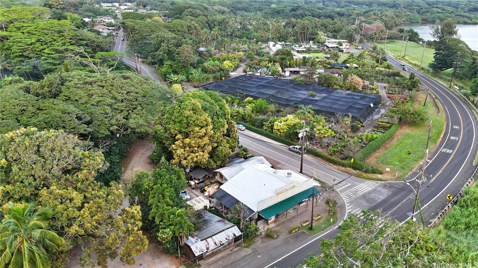 48-125 Waiahole Valley Rd  Kaneohe, Hi vacant land for sale - photo 13 of 20