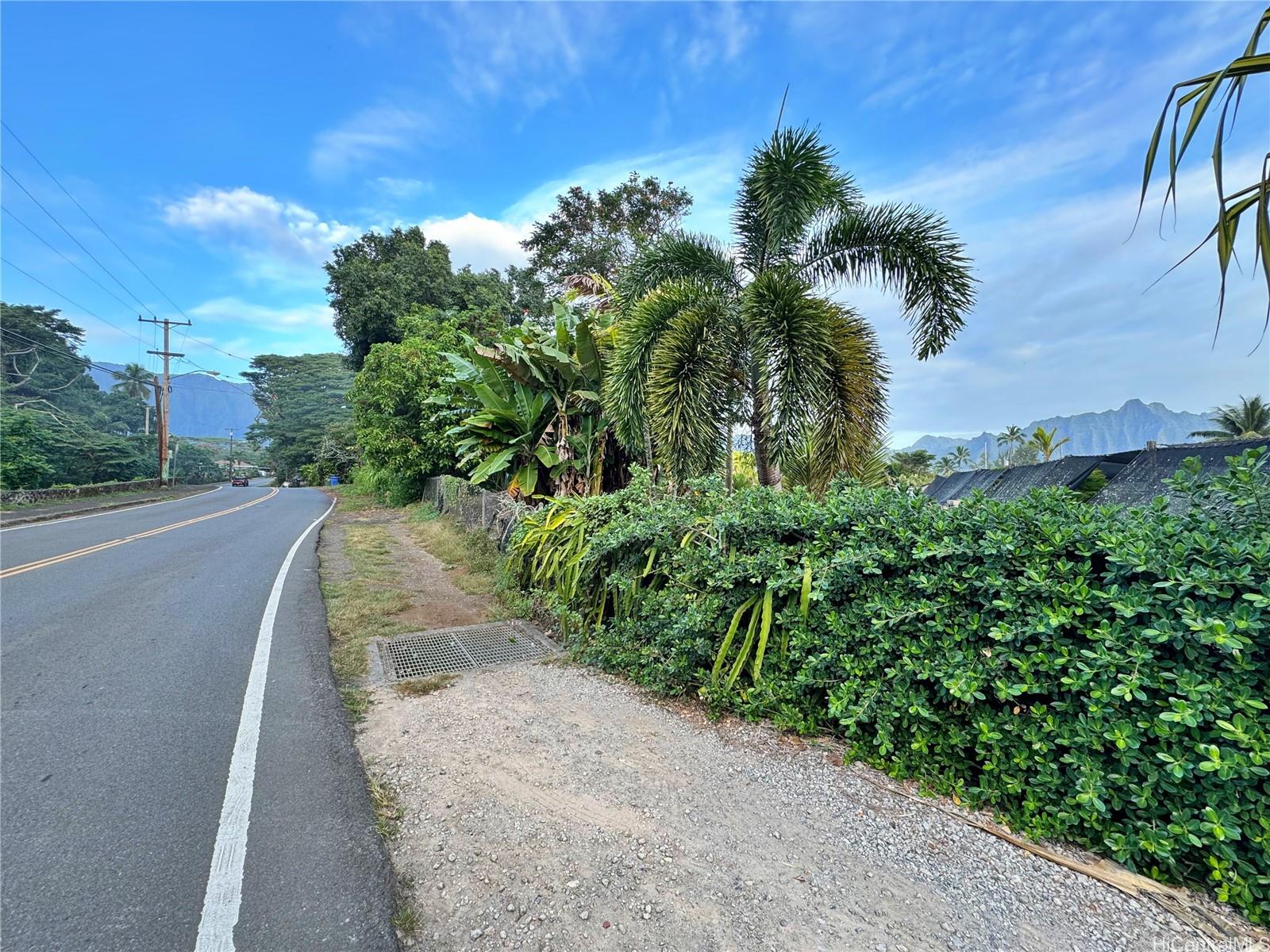 48-125 Waiahole Valley Rd  Kaneohe, Hi vacant land for sale - photo 19 of 20