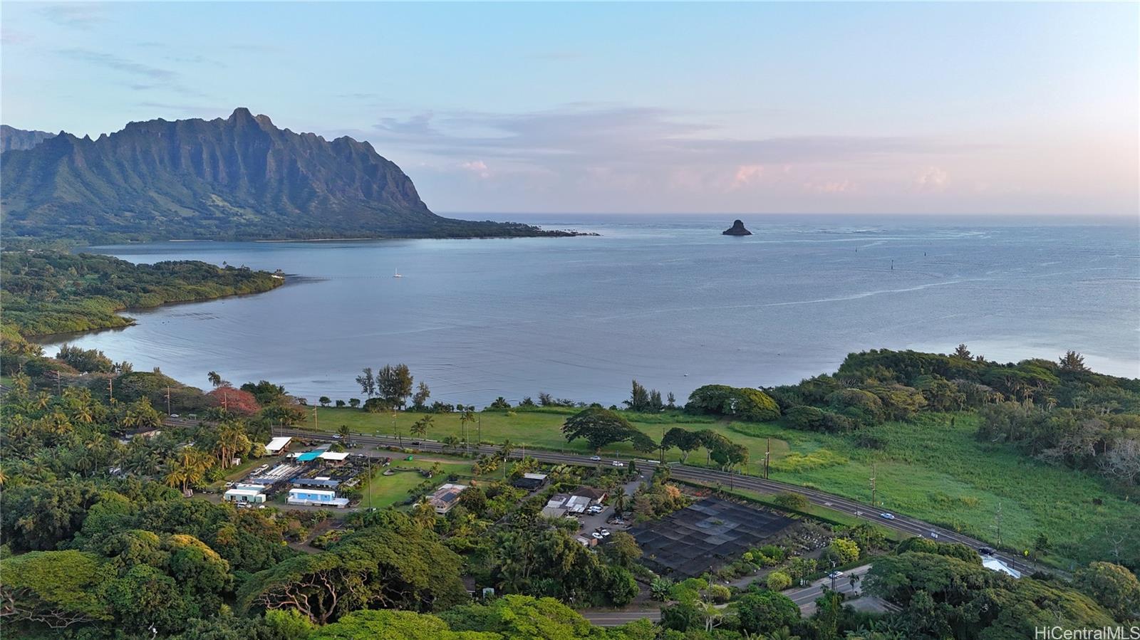 48-125 Waiahole Valley Rd  Kaneohe, Hi vacant land for sale - photo 9 of 20