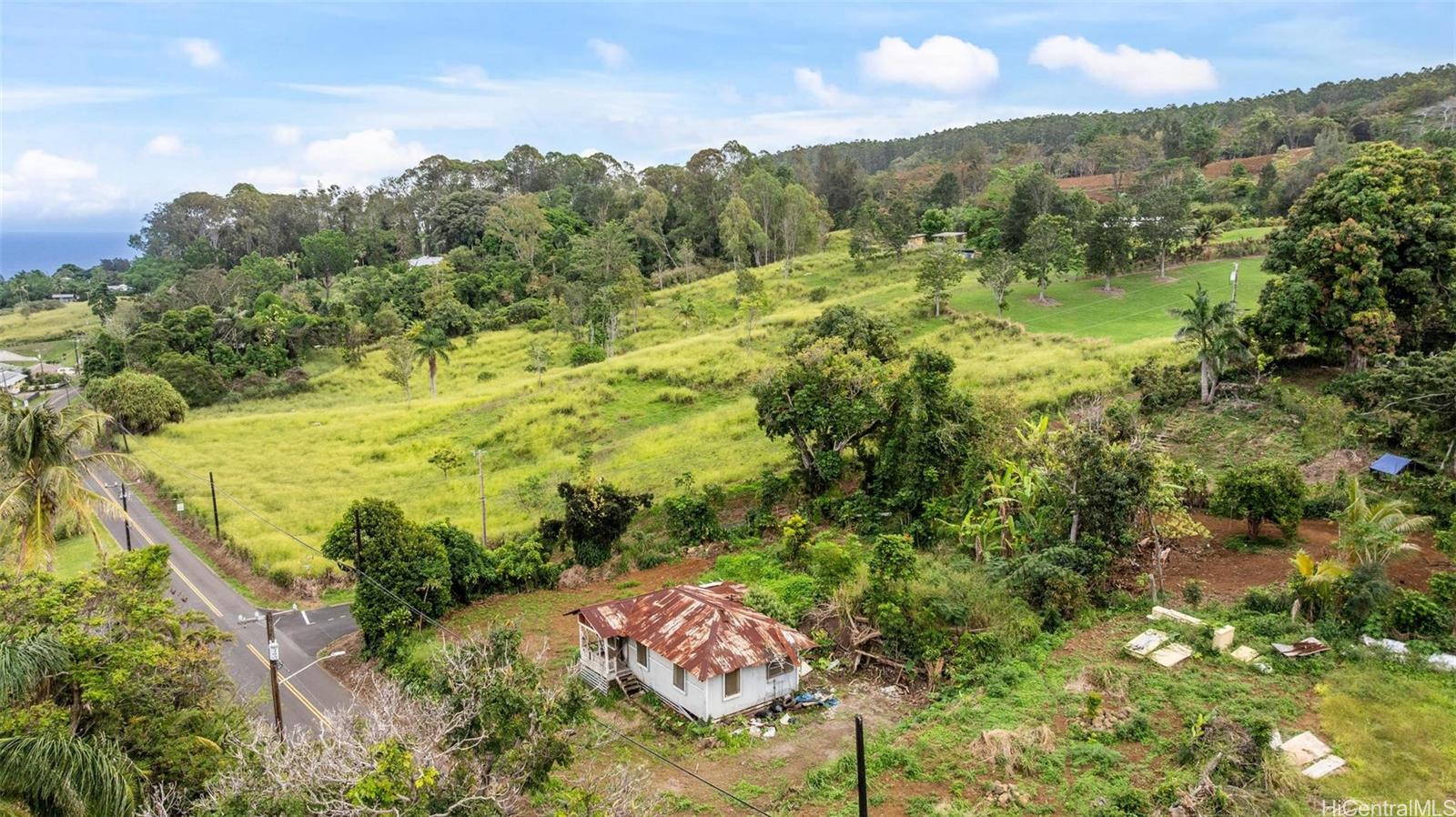 48-5399  Kukuihaele Road Kukuihaele, Hamakua home - photo 9 of 25