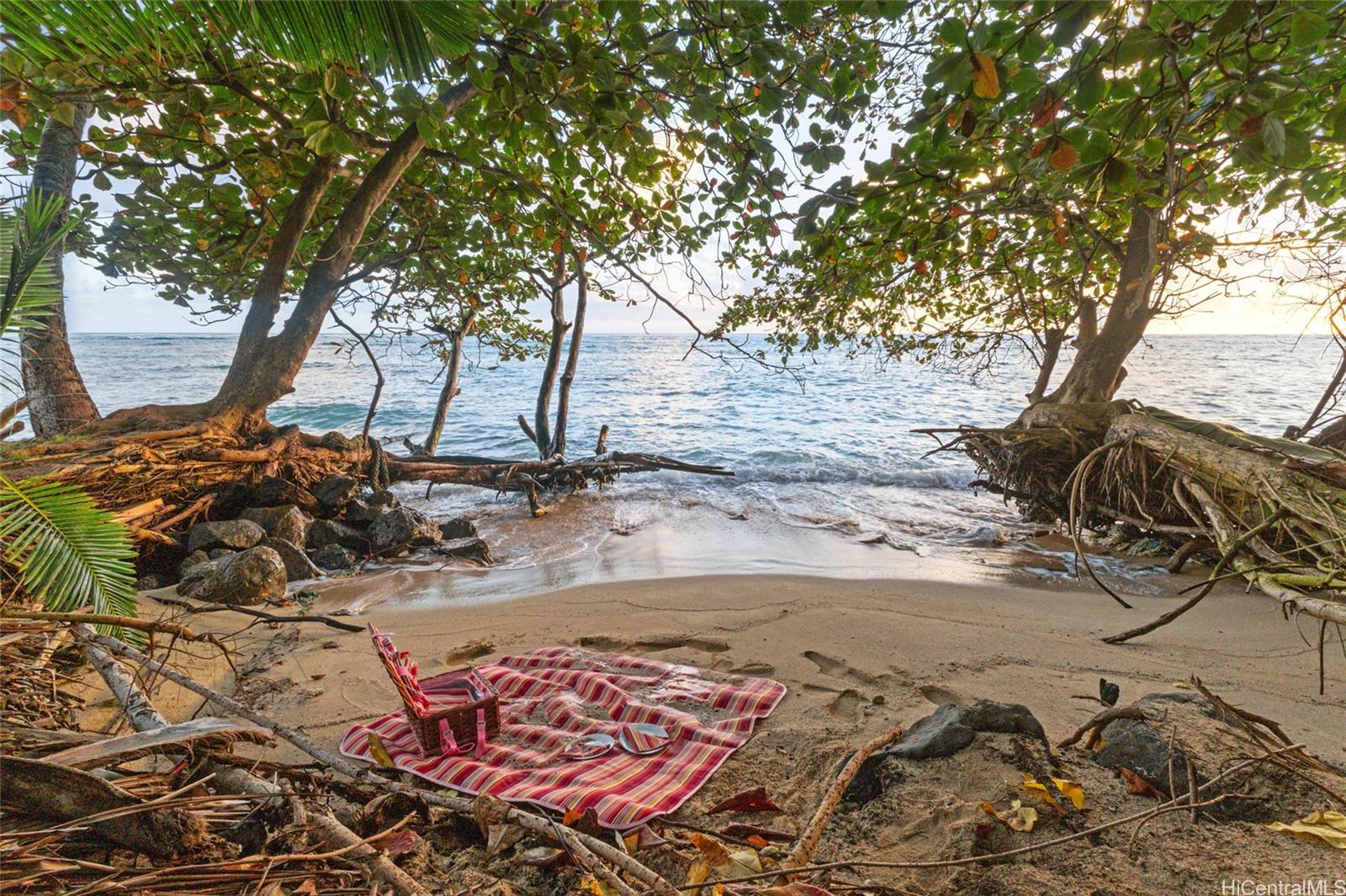 49-797  Kamehameha Hwy Kualoa Beach, Kaneohe home - photo 23 of 25