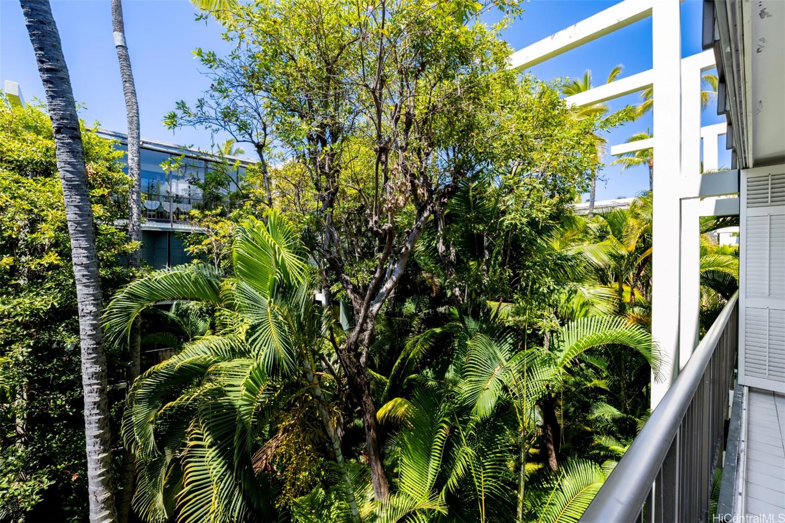 Kahala Beach condo # 324, Honolulu, Hawaii - photo 8 of 25