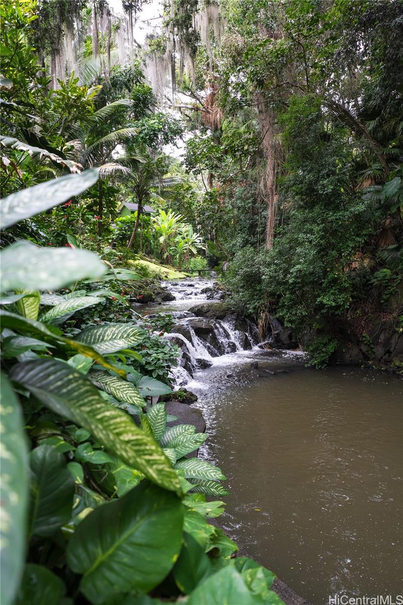 51  Kepola Place Dowsett, Honolulu home - photo 24 of 25