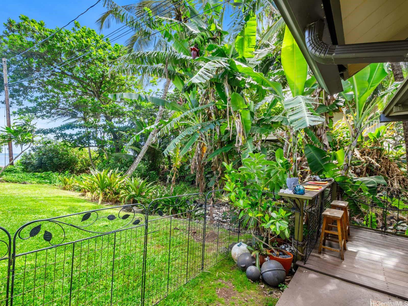 51-529  Kamehameha Hwy Kaaawa, Kaneohe home - photo 20 of 25