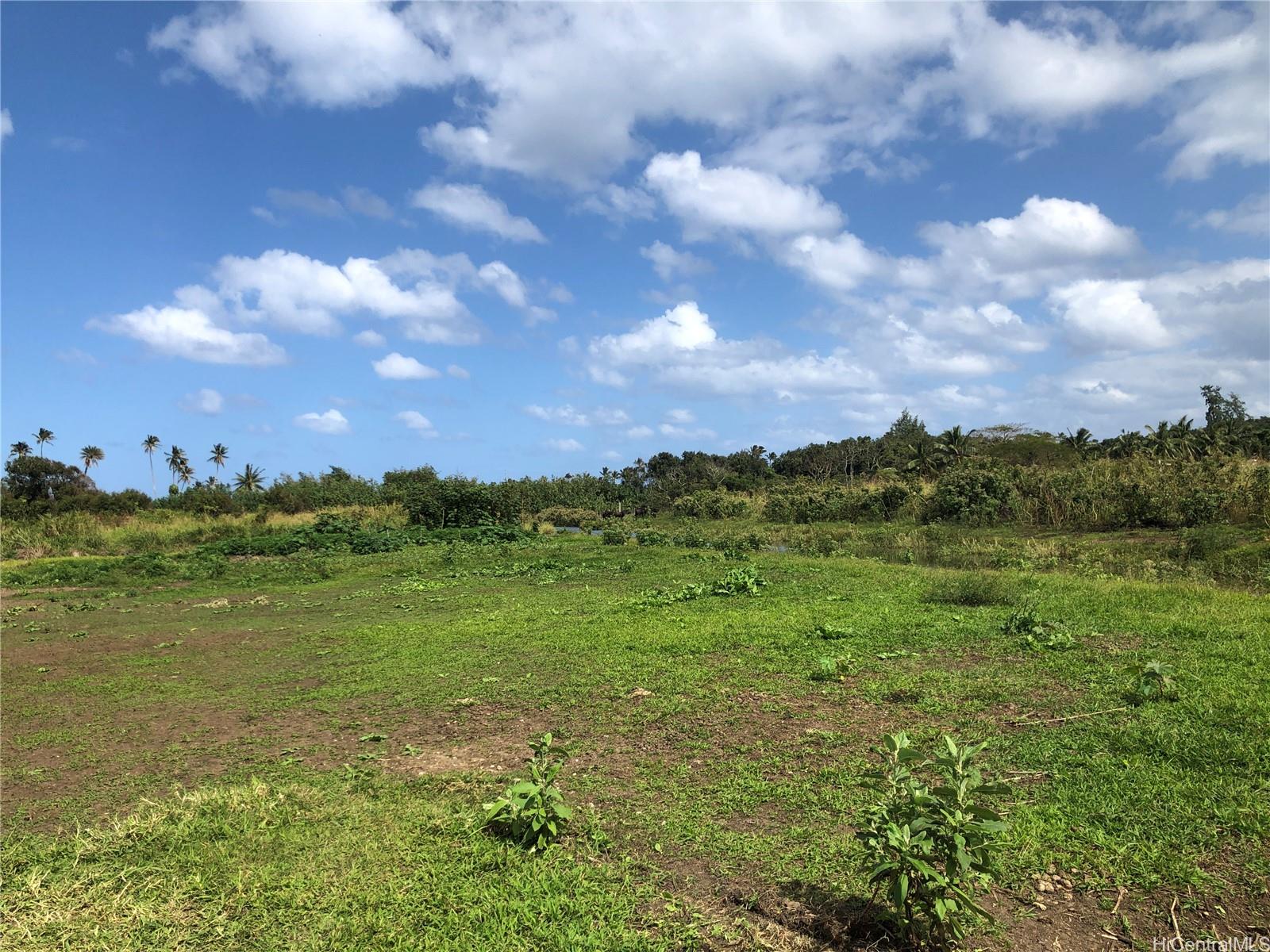 53- Kamehameha Hwy 8C Hauula, Hi vacant land for sale - photo 6 of 8