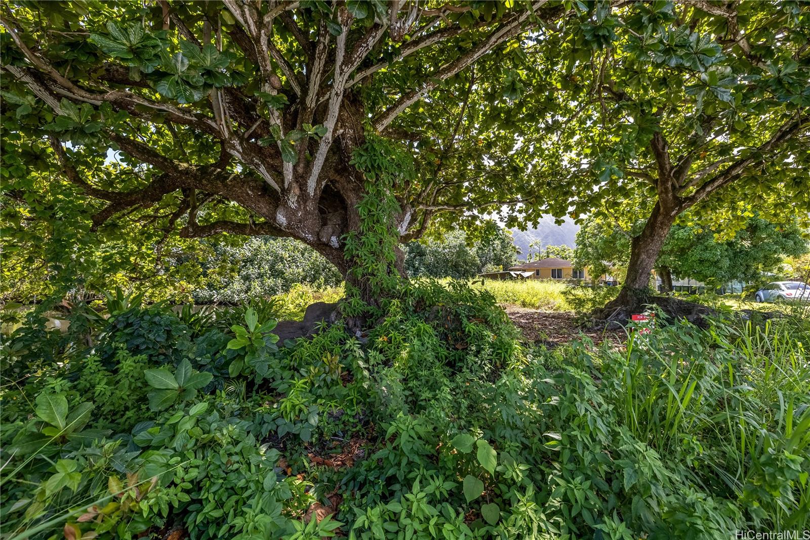 53-030 & 53-032 Pokiwai Place  Hauula, Hi vacant land for sale - photo 17 of 25