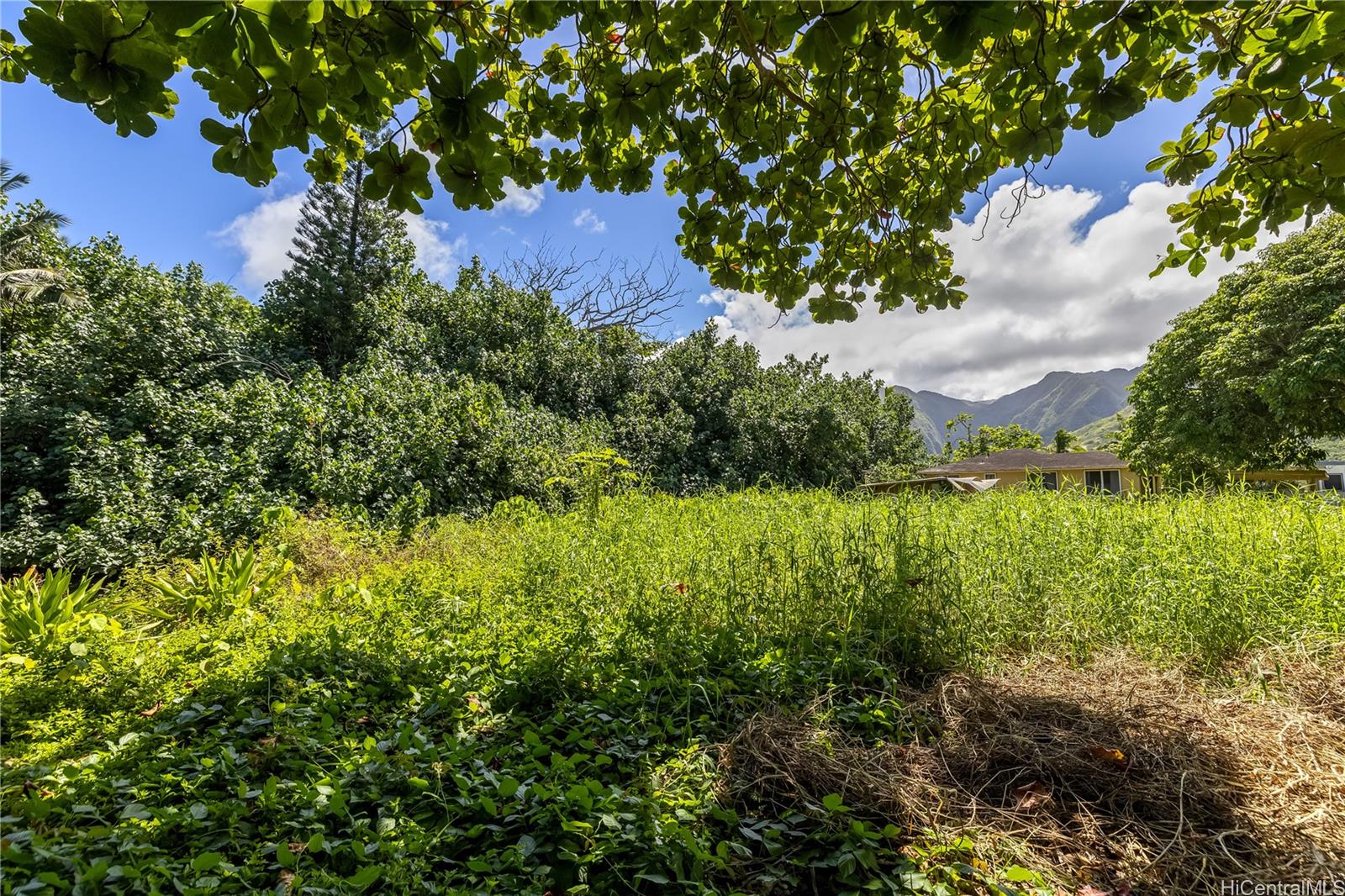 53-030 & 53-032 Pokiwai Place  Hauula, Hi vacant land for sale - photo 19 of 25