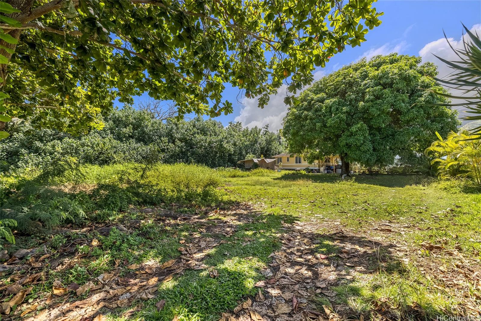 53-030 & 53-032 Pokiwai Place  Hauula, Hi vacant land for sale - photo 20 of 25