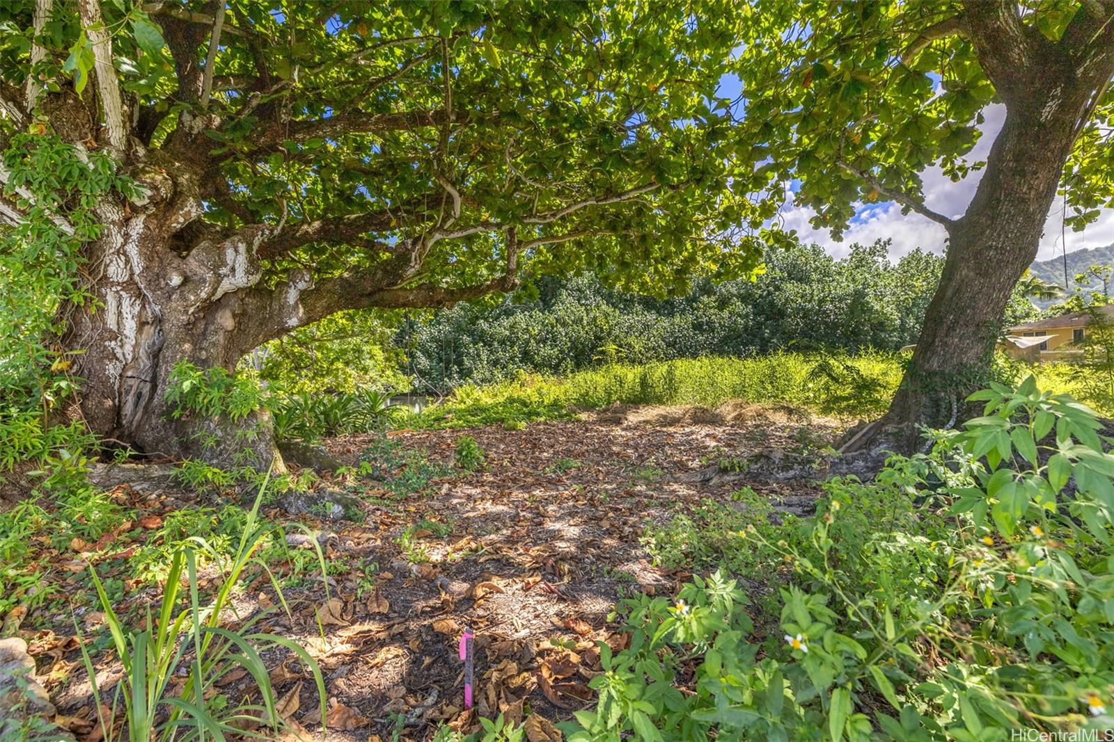 53-030 & 53-032 Pokiwai Place  Hauula, Hi vacant land for sale - photo 24 of 25