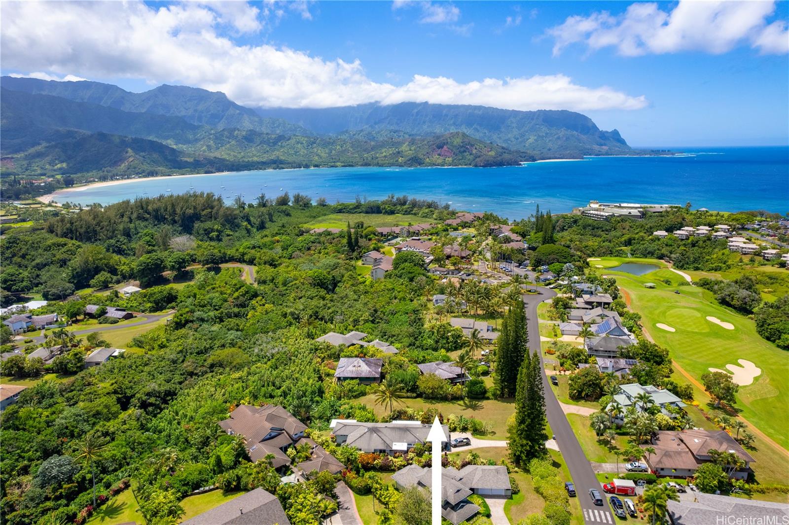 5323 Honoiki Road  Princeville, Hi vacant land for sale - photo 4 of 6