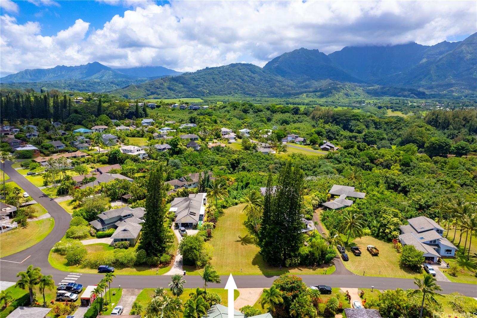 5323 Honoiki Road  Princeville, Hi vacant land for sale - photo 5 of 6