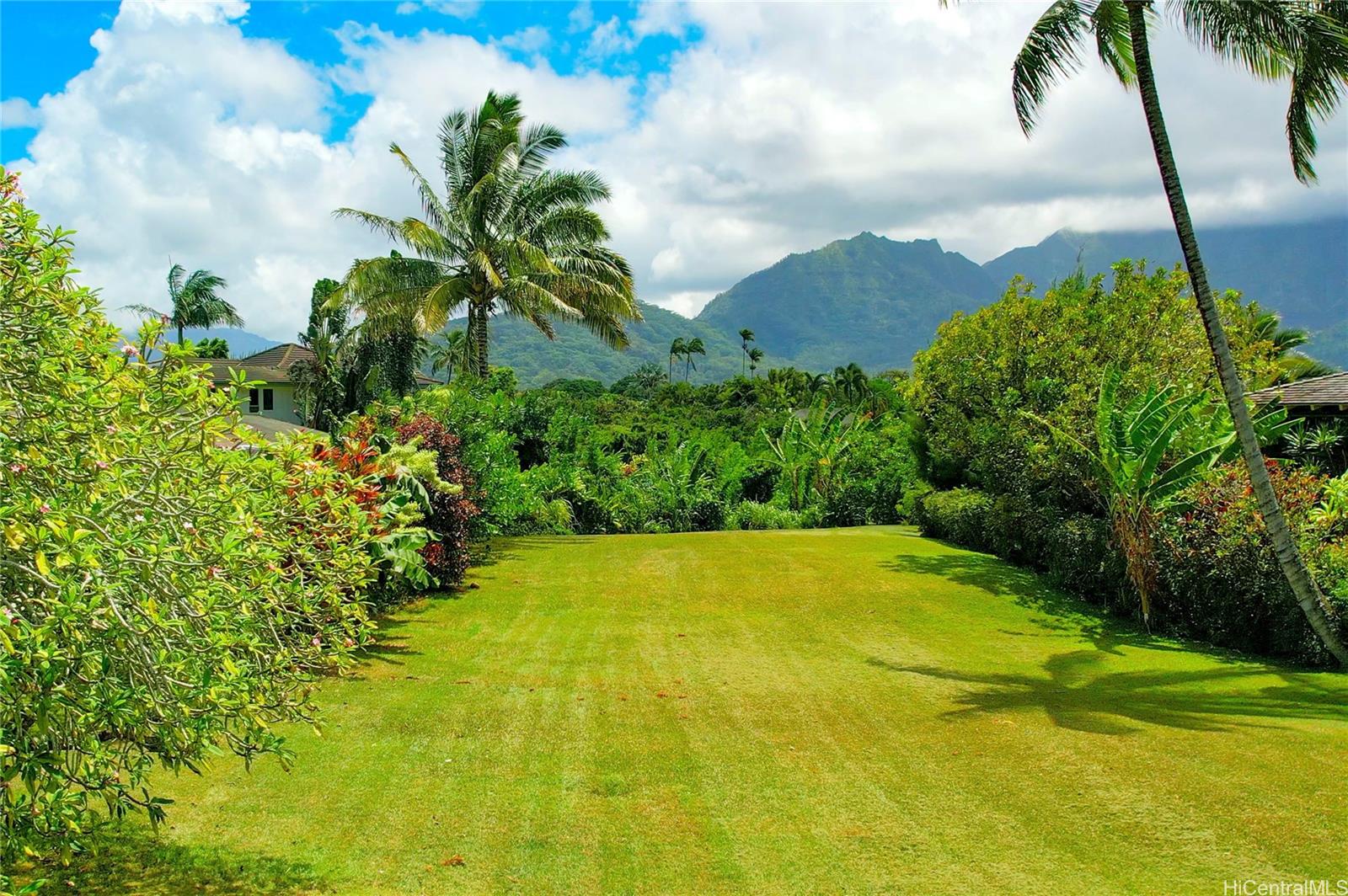 5323 Honoiki Road  Princeville, Hi vacant land for sale - photo 6 of 6