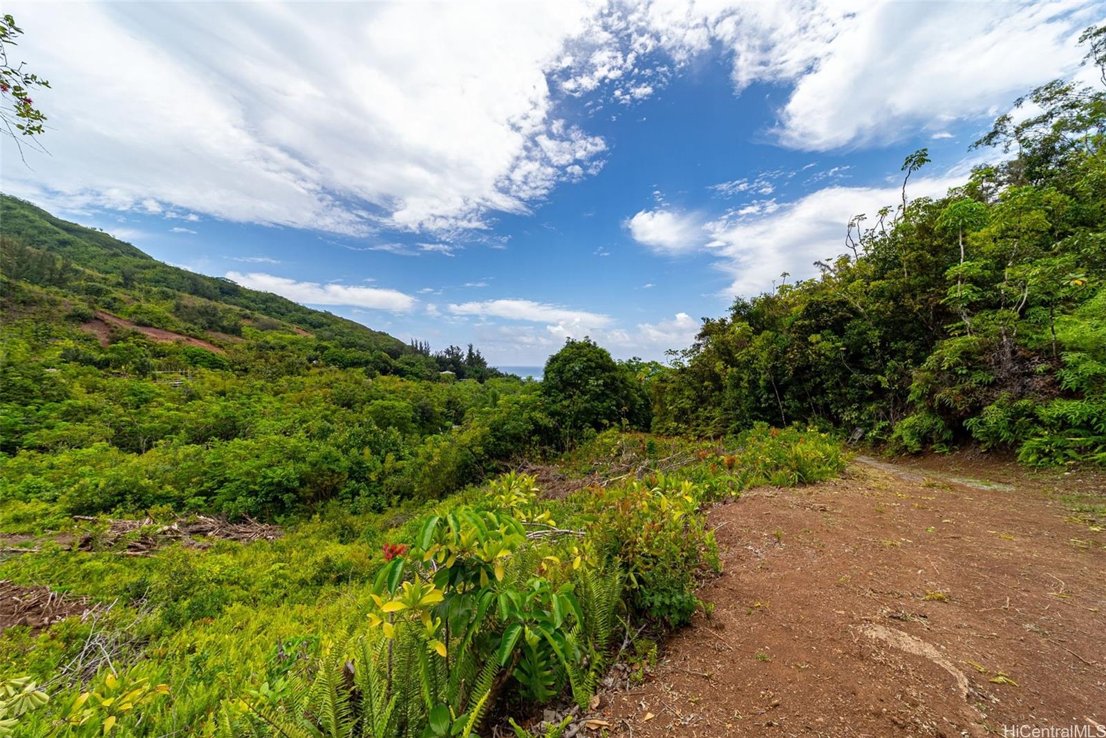 53-354 Kamehameha Hwy 3D Hauula, Hi vacant land for sale - photo 14 of 16