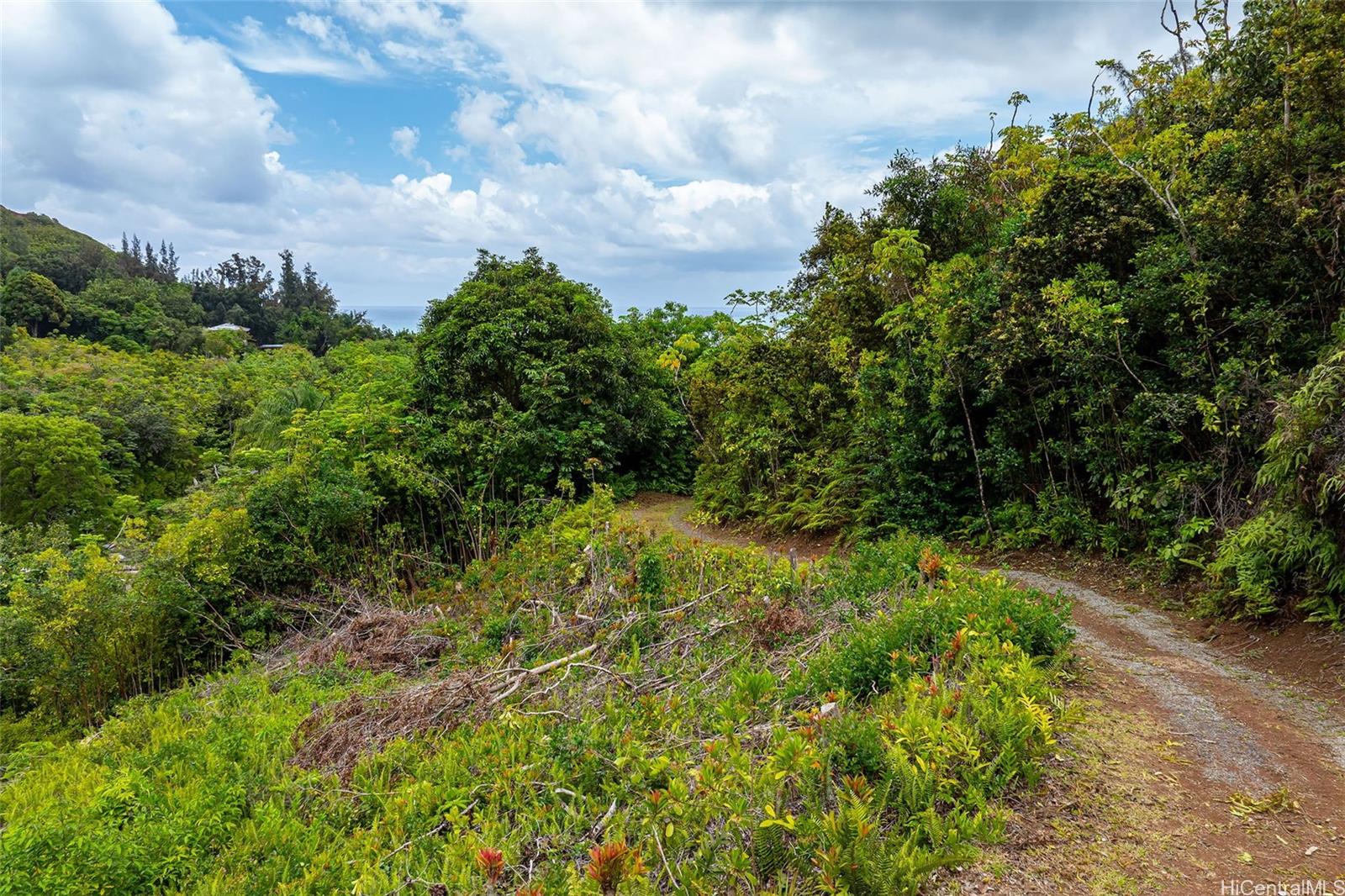 53-354 Kamehameha Hwy 3D Hauula, Hi vacant land for sale - photo 16 of 16