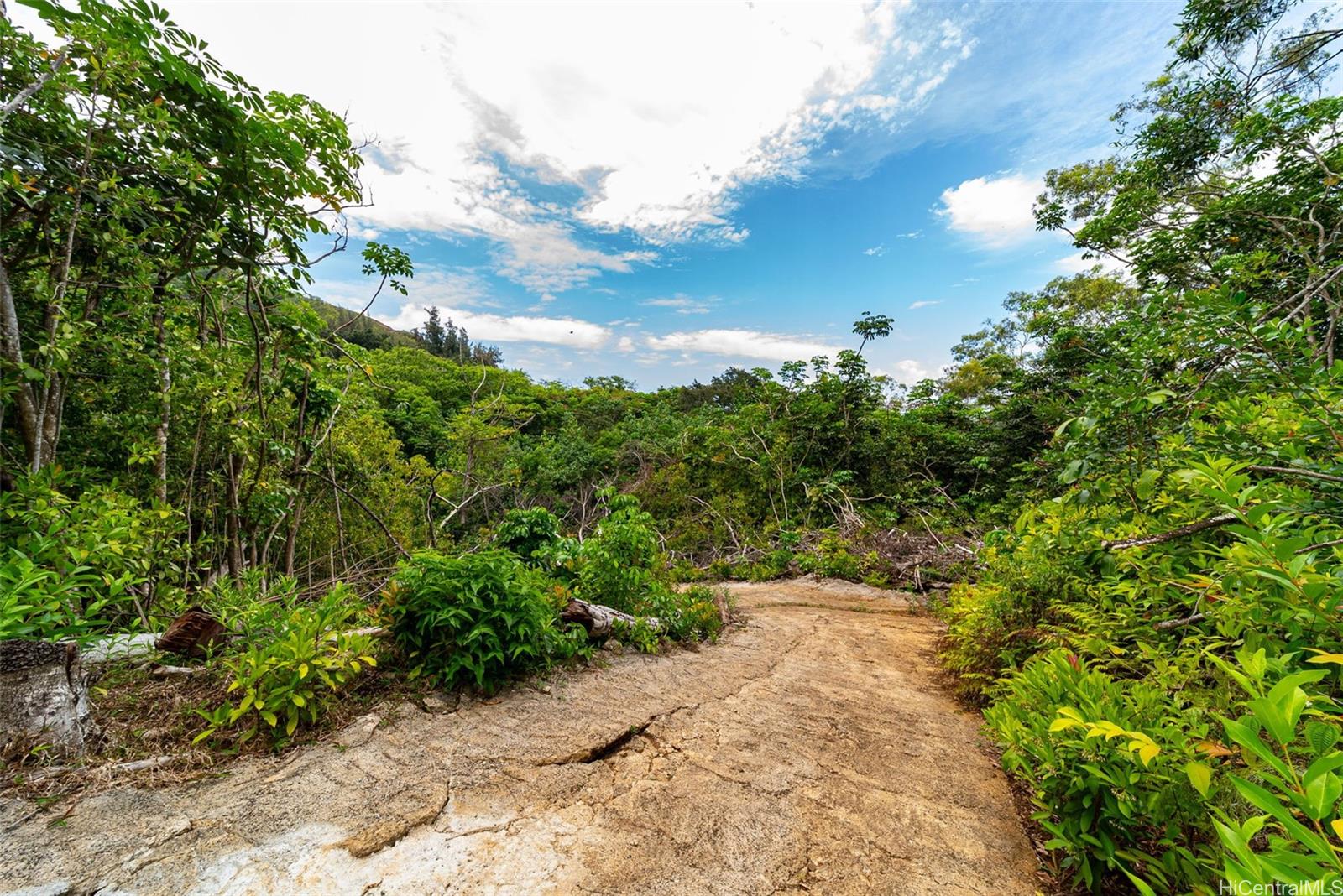 53-354 Kamehameha Hwy 3D Hauula, Hi vacant land for sale - photo 6 of 16