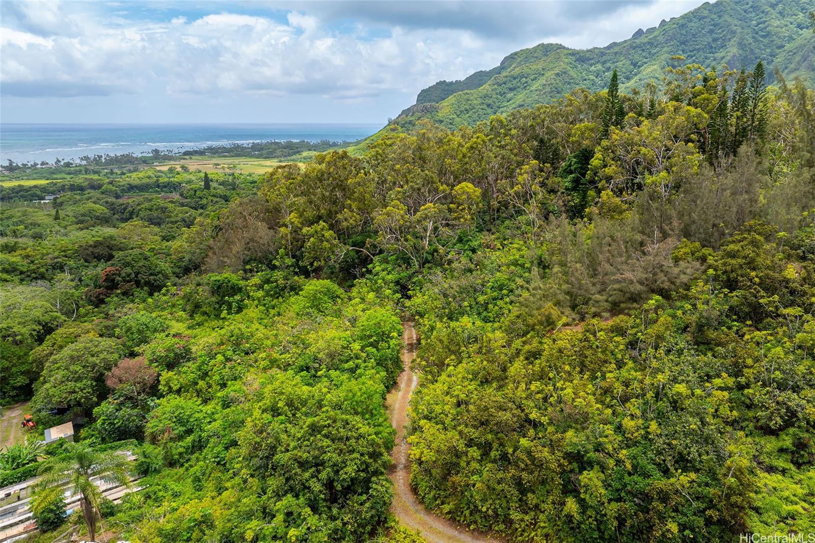 53-354 Kamehameha Hwy 3D Hauula, Hi vacant land for sale - photo 8 of 16