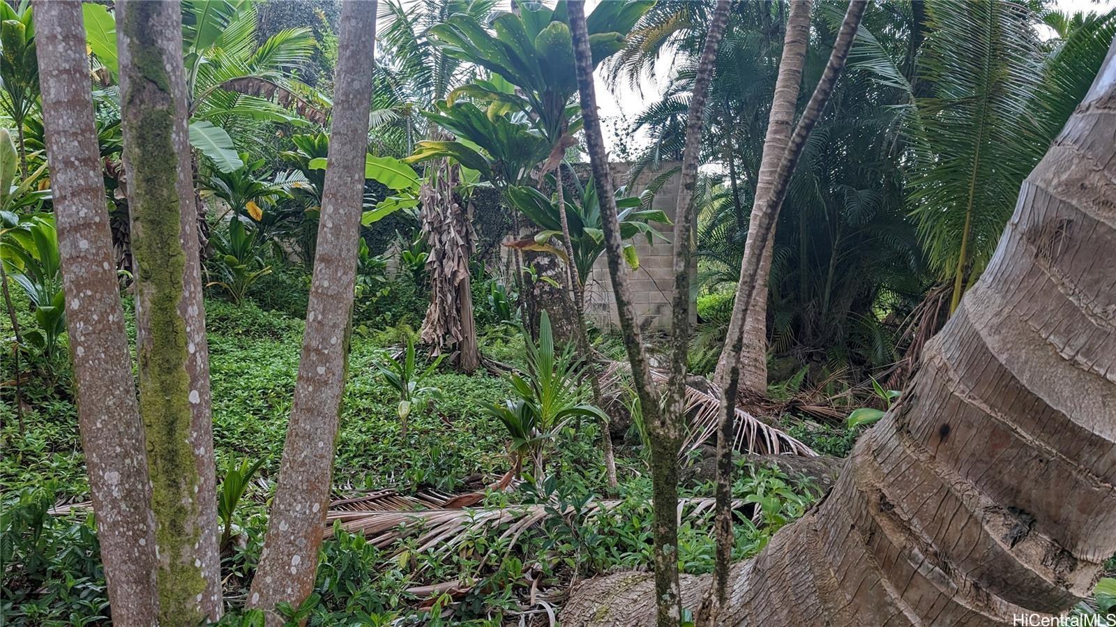 53-354 Kamehameha Hwy 3F Hauula, Hi vacant land for sale - photo 11 of 15