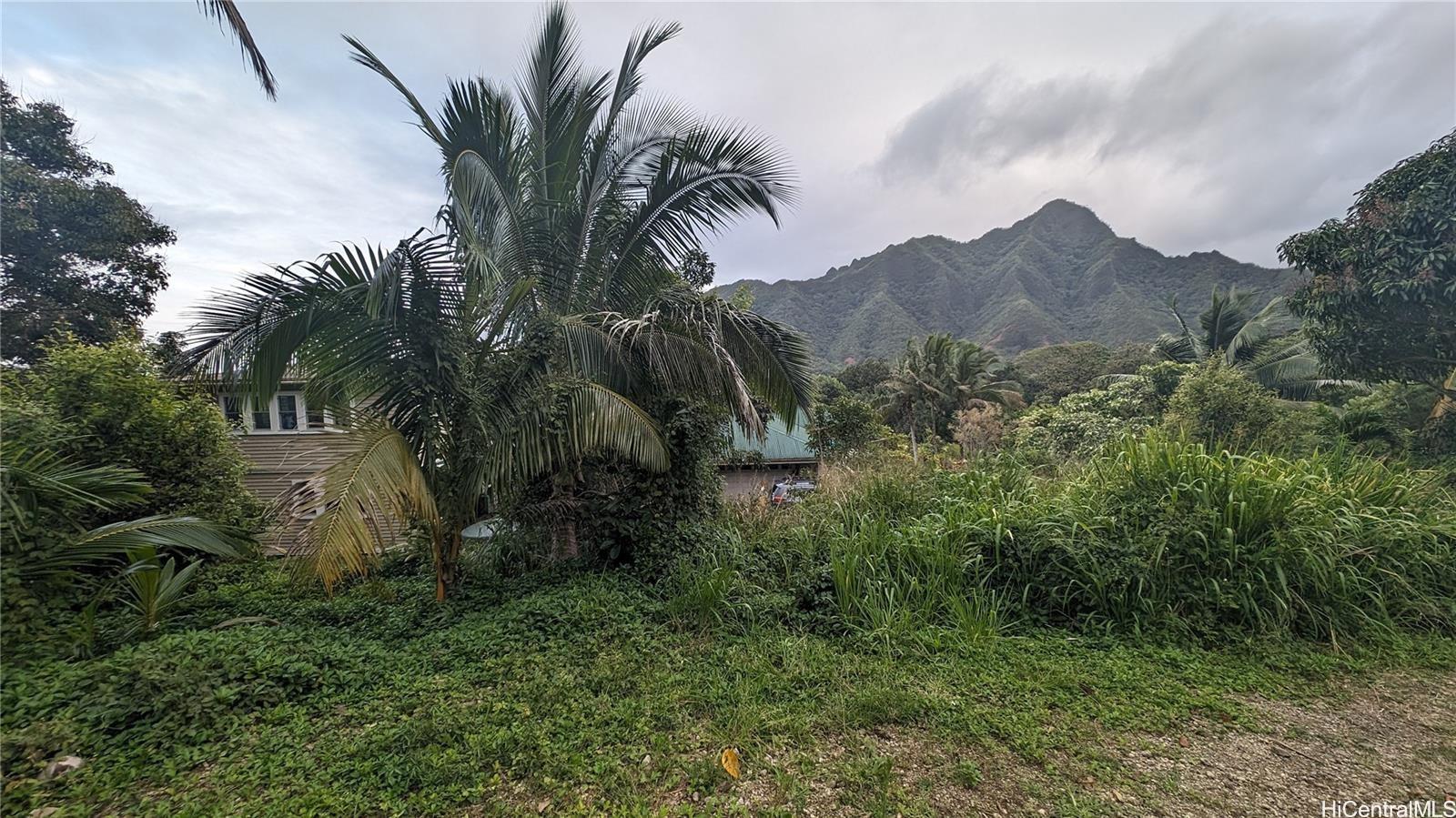 53-354 Kamehameha Hwy 3F Hauula, Hi vacant land for sale - photo 6 of 15