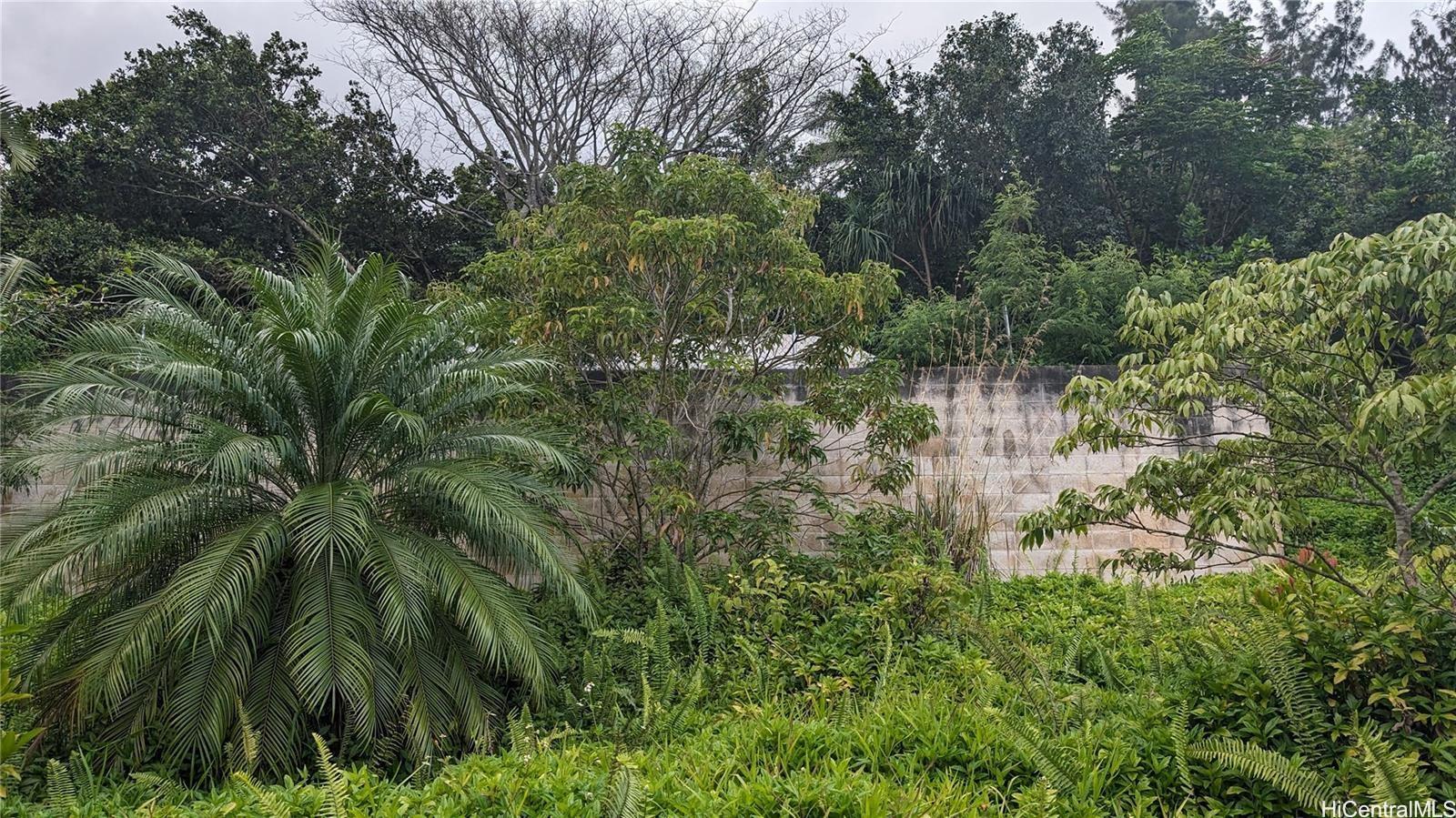 53-354 Kamehameha Hwy 3F Hauula, Hi vacant land for sale - photo 8 of 15