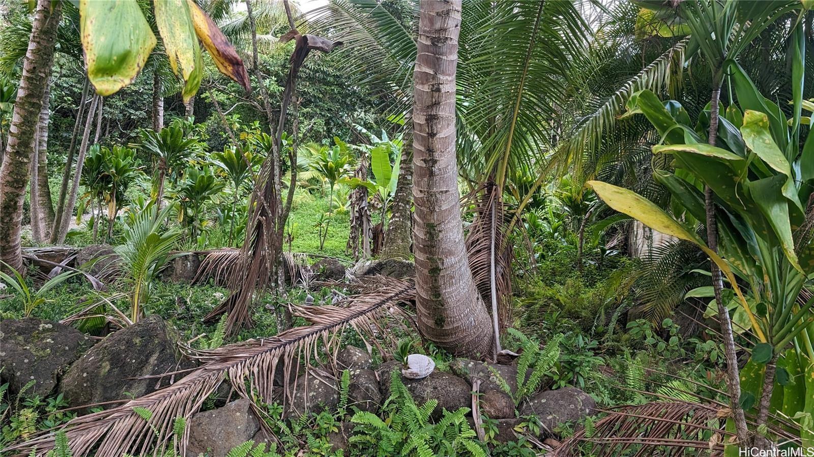 53-354 Kamehameha Hwy 3F Hauula, Hi vacant land for sale - photo 9 of 15