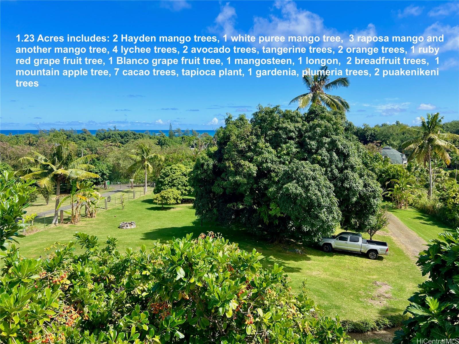 53-416  Kamehameha Hwy Punaluu, Kaneohe home - photo 2 of 25