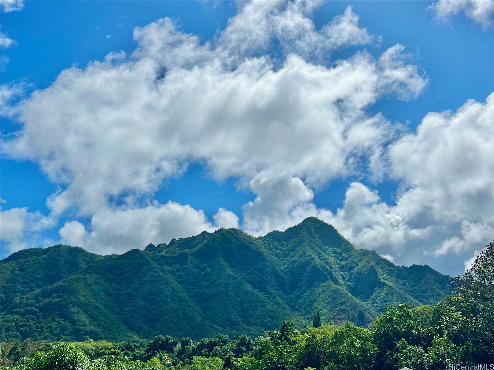 53-416  Kamehameha Hwy Punaluu, Kaneohe home - photo 4 of 25