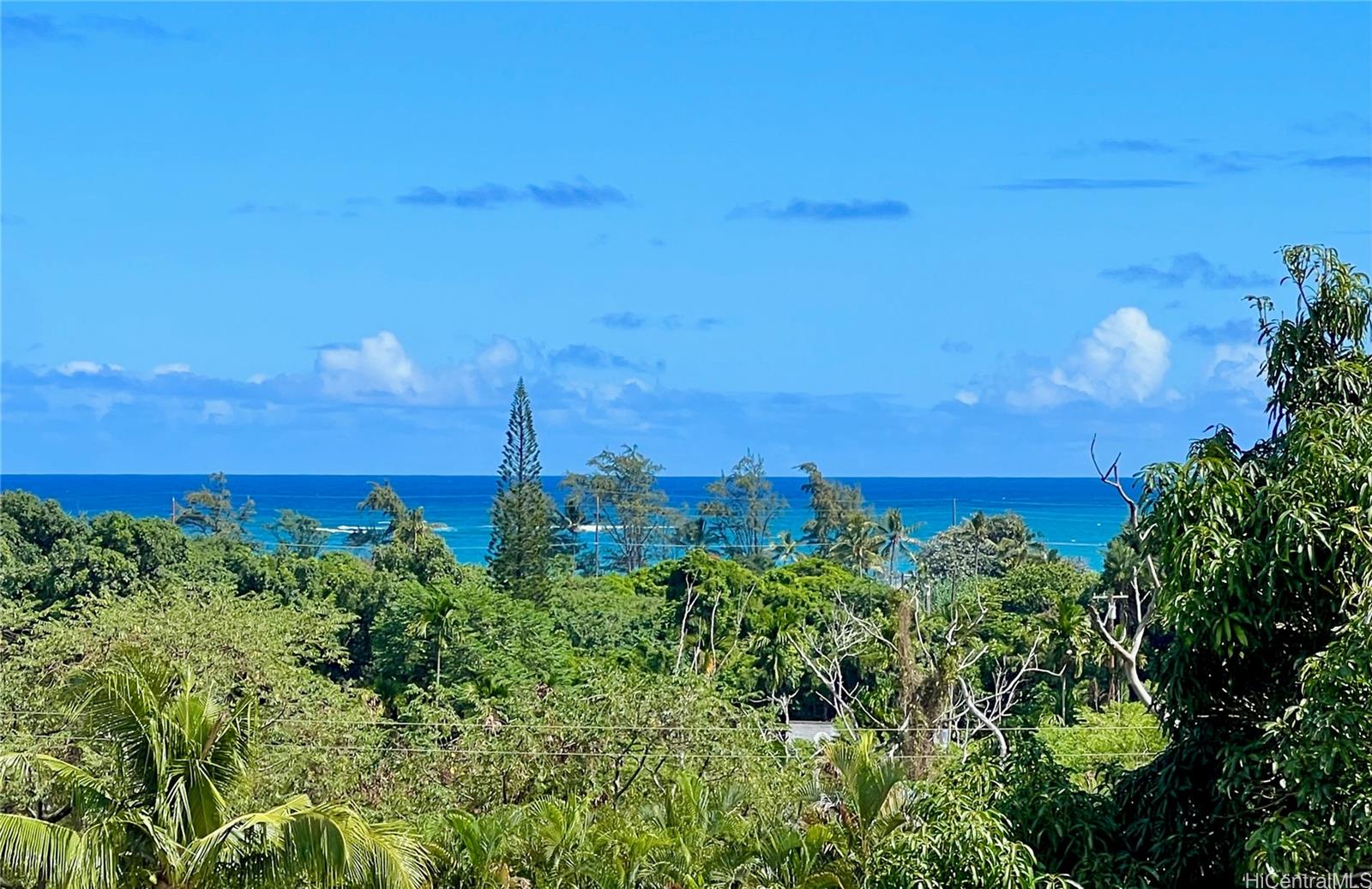 53-416  Kamehameha Hwy Punaluu, Kaneohe home - photo 5 of 25