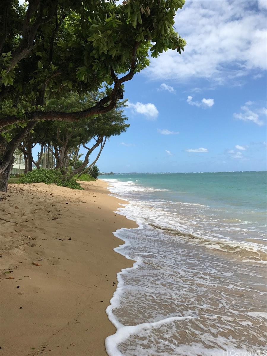 Hanohano Hale 203, 53549 Kamehameha Hwy, Hauula Punaluu condo