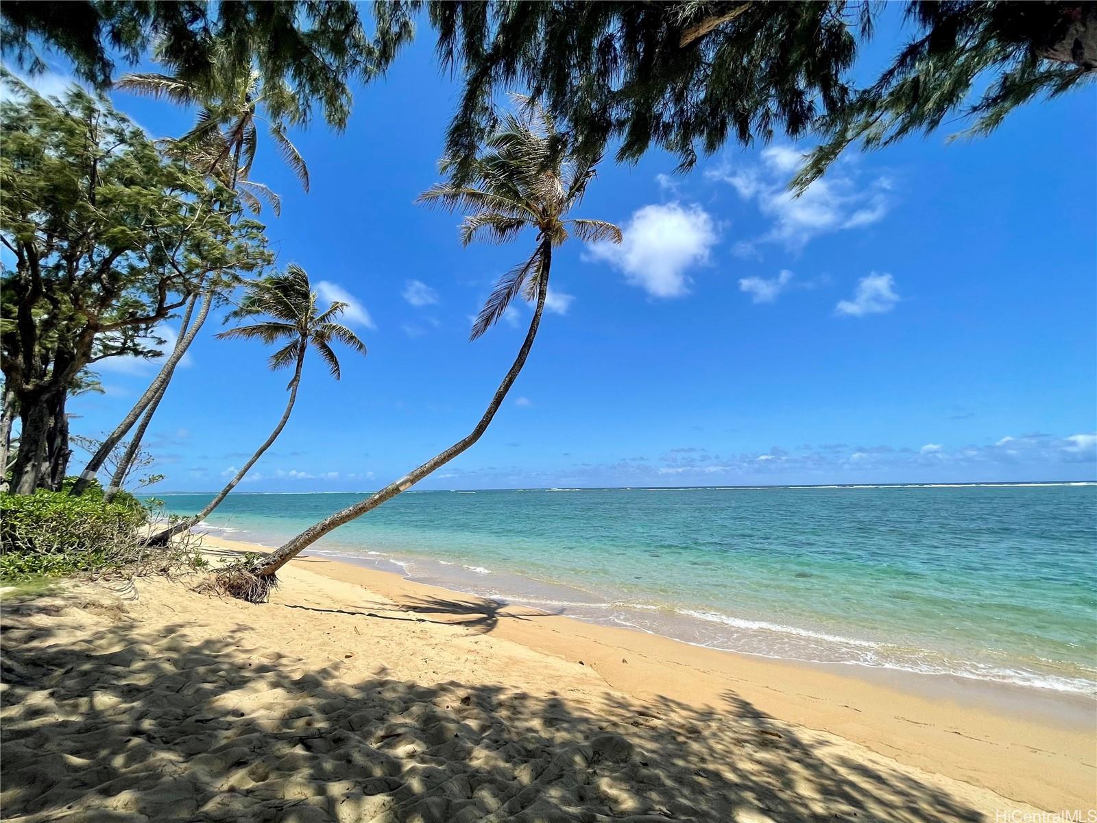 hanohano-hale-615-53-549-kamehameha-hwy-hauula-punaluu