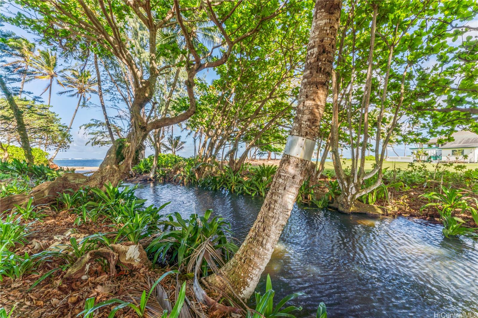 Hanohano Hale condo # 618, Hauula, Hawaii - photo 17 of 19