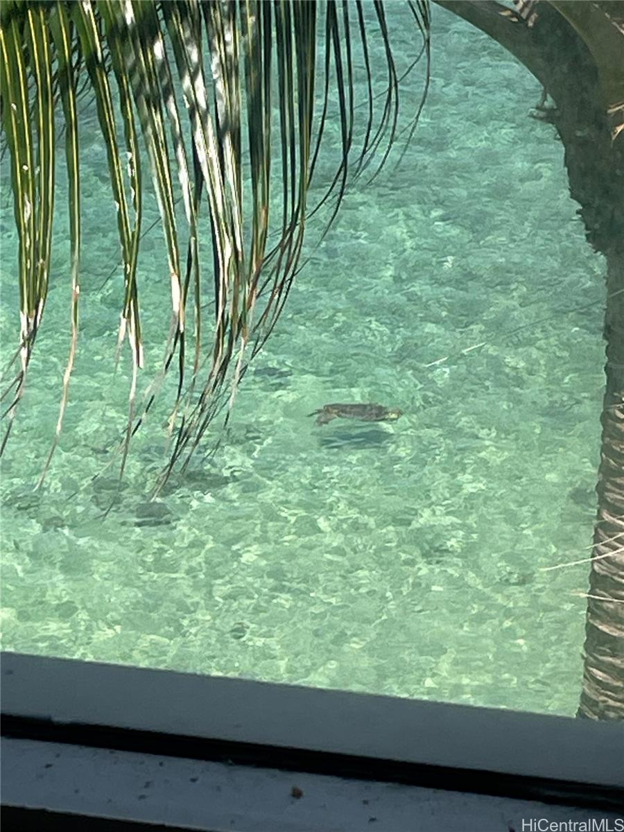 Hanohano Hale condo # 707, Hauula, Hawaii - photo 2 of 21