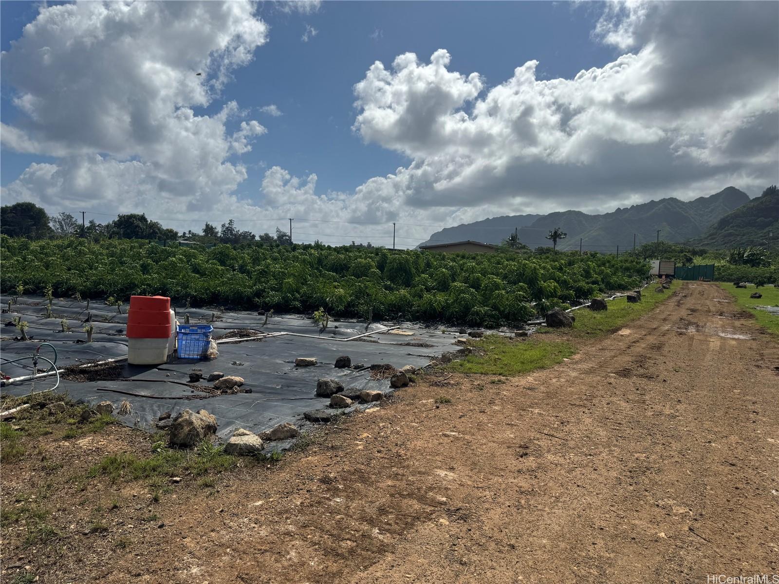 53-720  Kamehameha Hwy Punaluu, Kaneohe home - photo 14 of 23