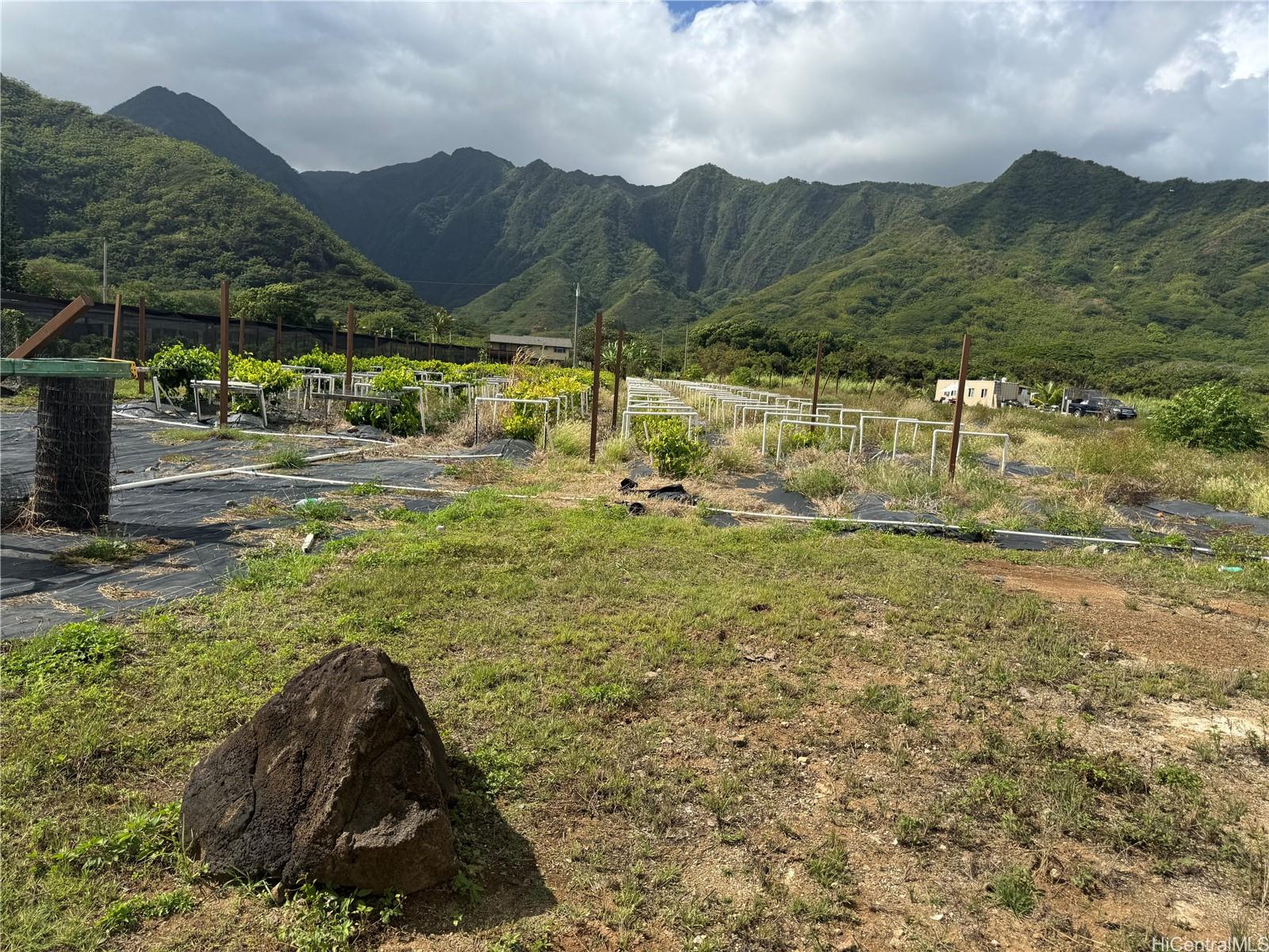 53-720  Kamehameha Hwy Punaluu, Kaneohe home - photo 17 of 23