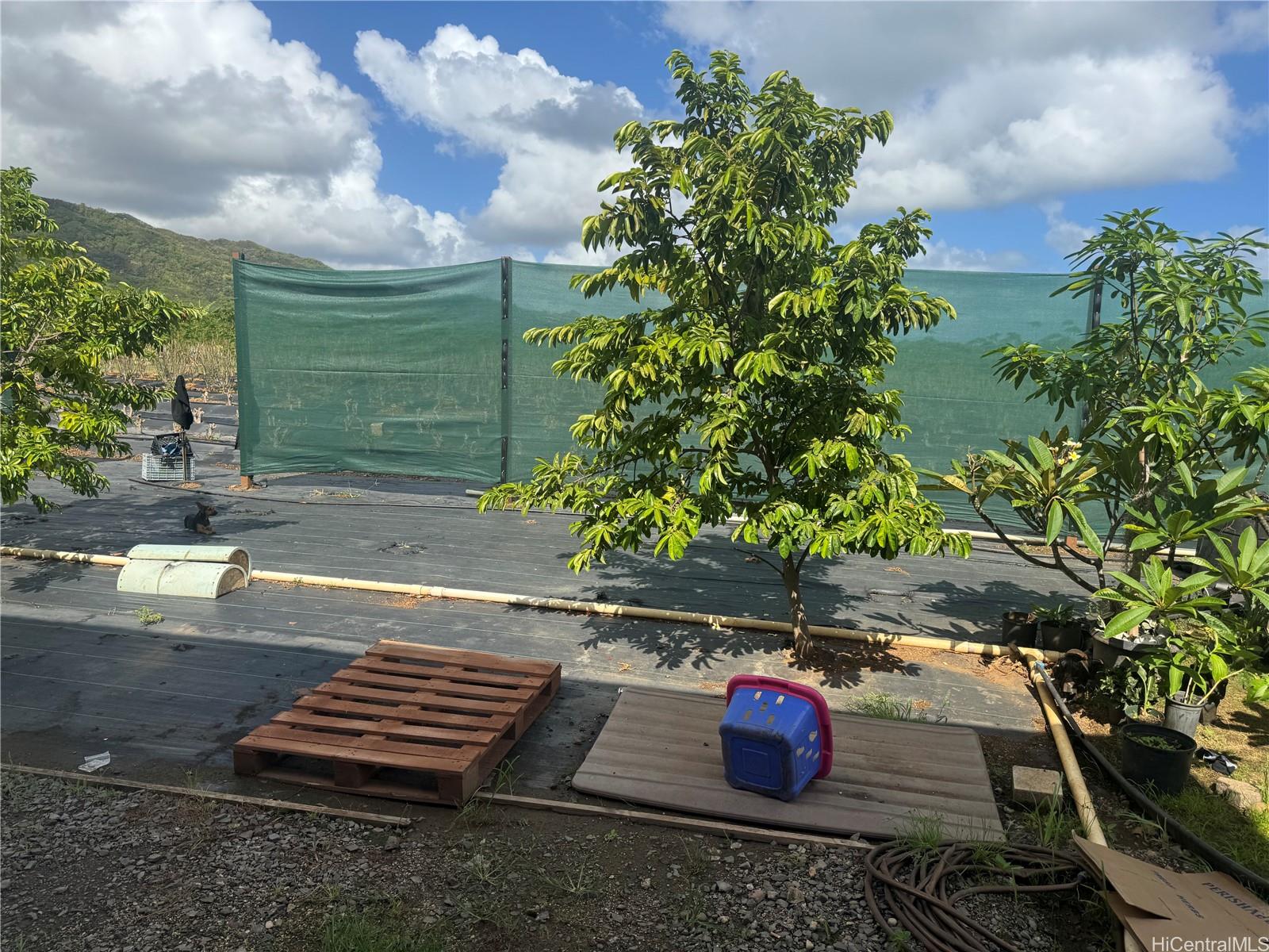 53-720  Kamehameha Hwy Punaluu, Kaneohe home - photo 8 of 23