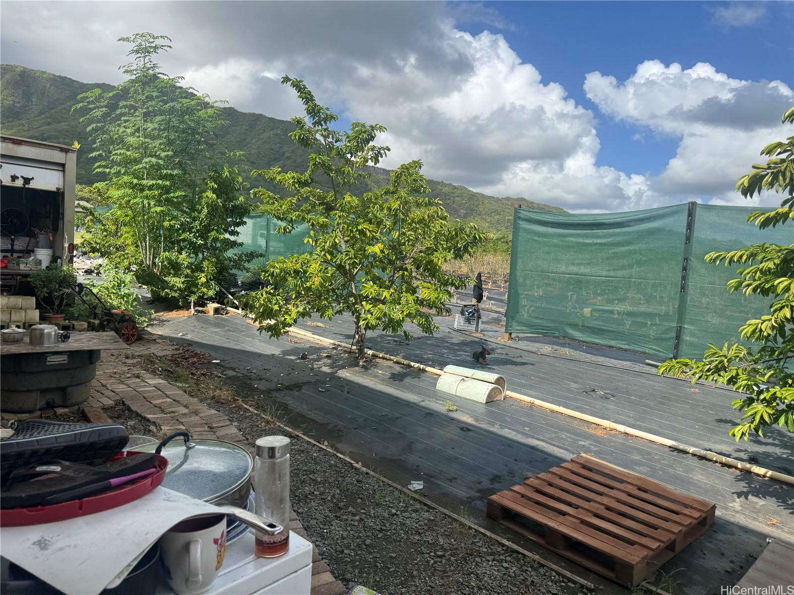 53-720  Kamehameha Hwy Punaluu, Kaneohe home - photo 9 of 23