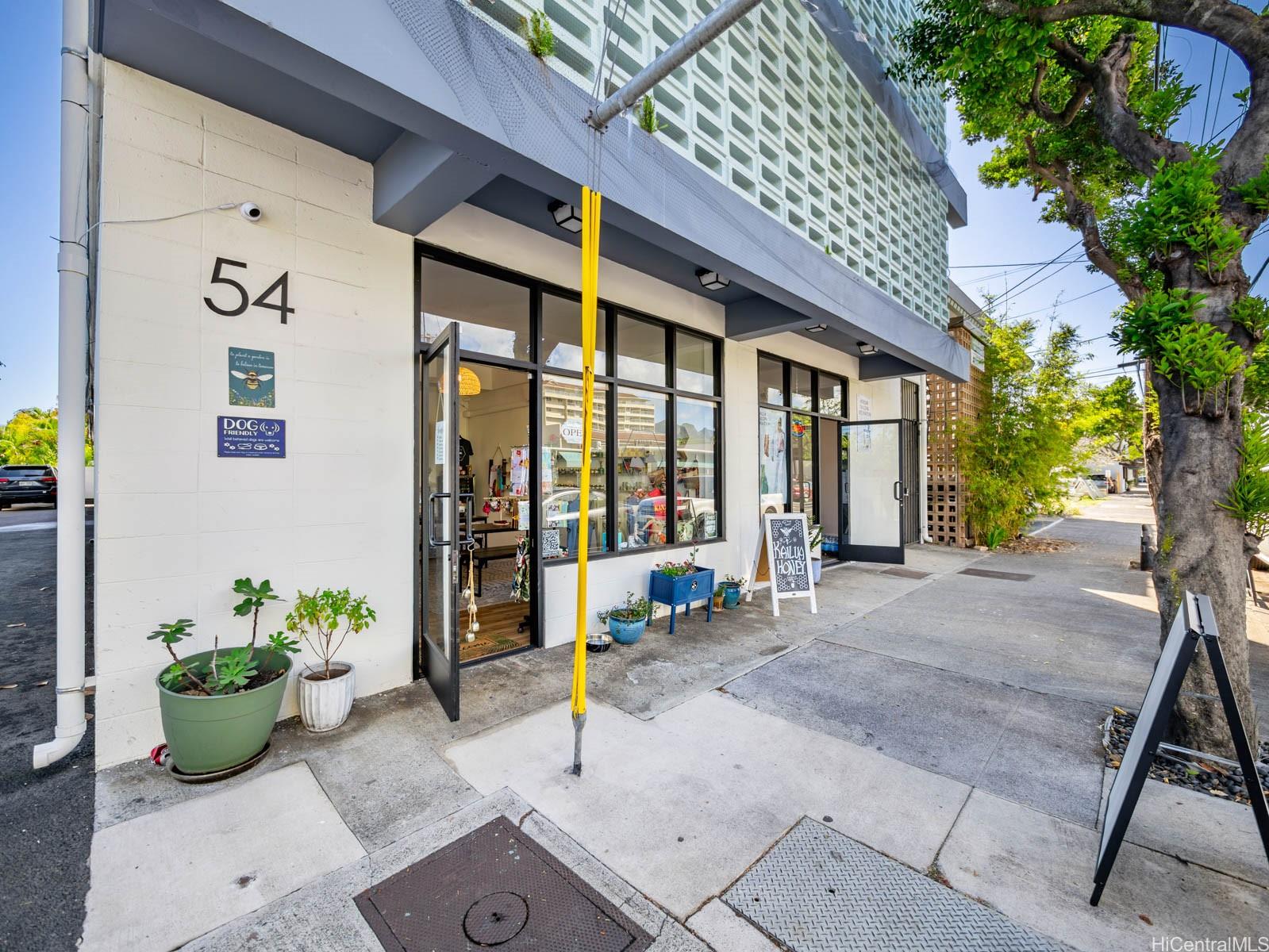 54 Maluniu Ave Kailua - Multi-family - photo 3 of 22