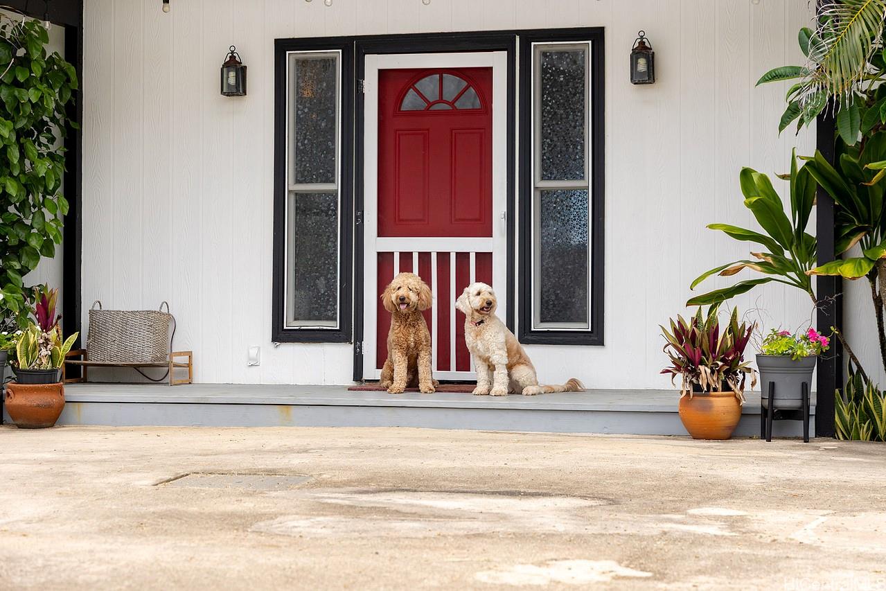 54-253  Kaipapau Loop Hauula, Kaneohe home - photo 24 of 24