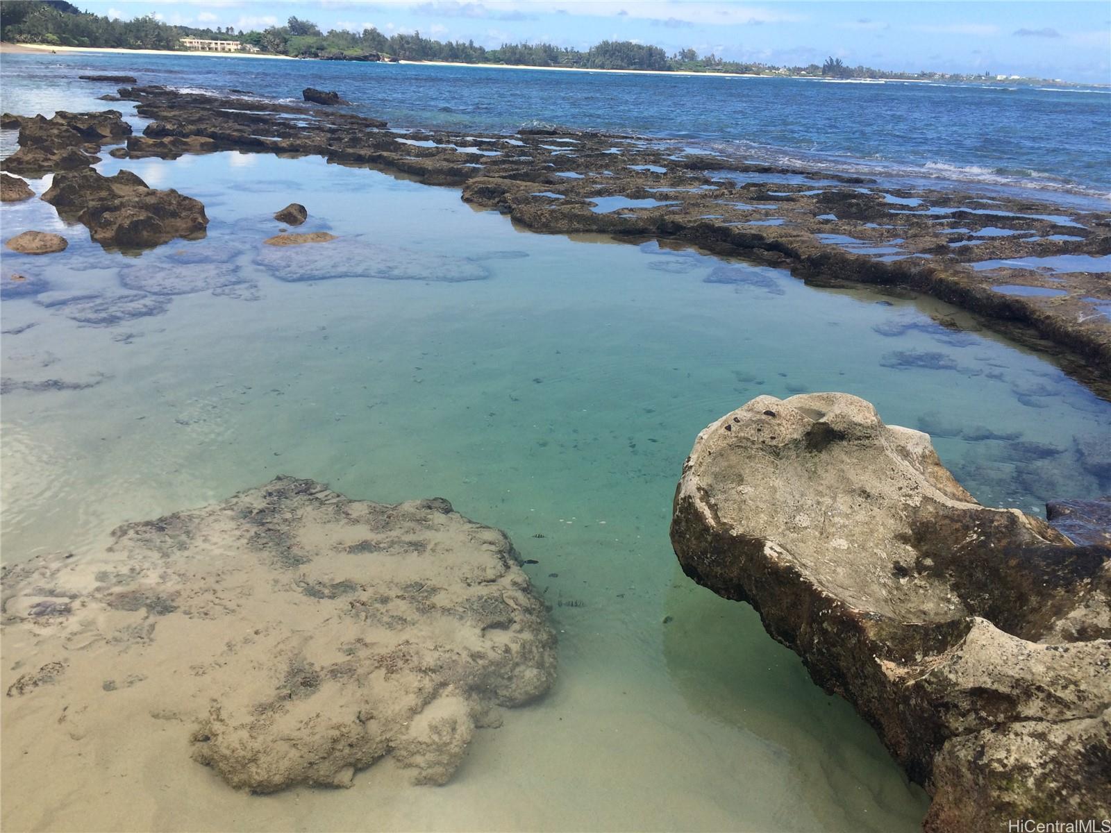 54-353 Kamehameha Hwy Hauula - Rental - photo 19 of 25