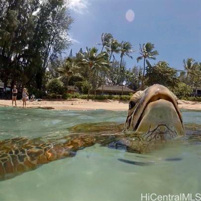 54-353 Kamehameha Hwy Hauula - Rental - photo 21 of 25