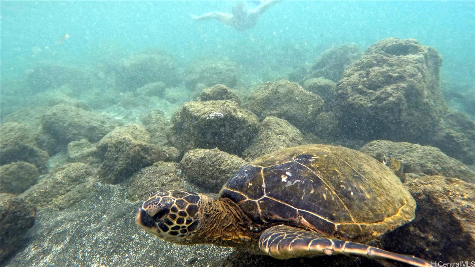 54-353 Kamehameha Hwy Hauula - Rental - photo 22 of 25