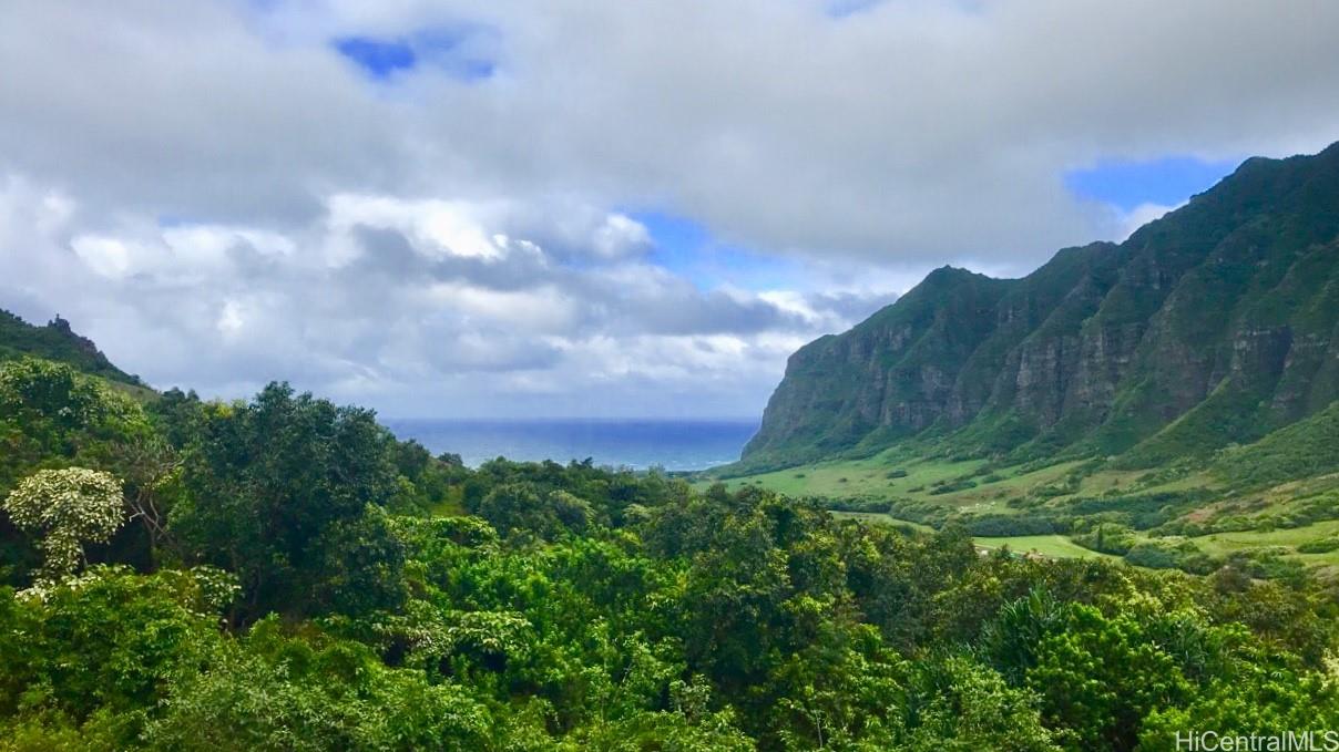 54-353 Kamehameha Hwy Hauula - Rental - photo 24 of 25