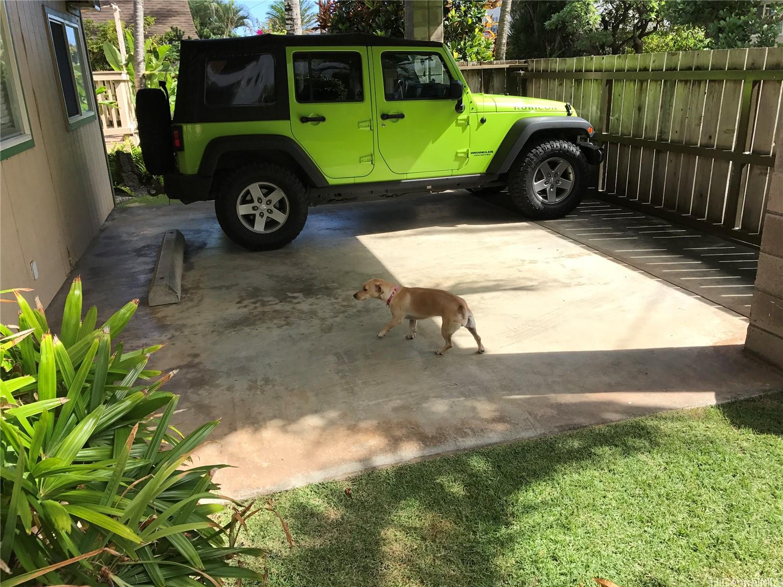 54-353 Kamehameha Hwy Hauula - Rental - photo 10 of 25