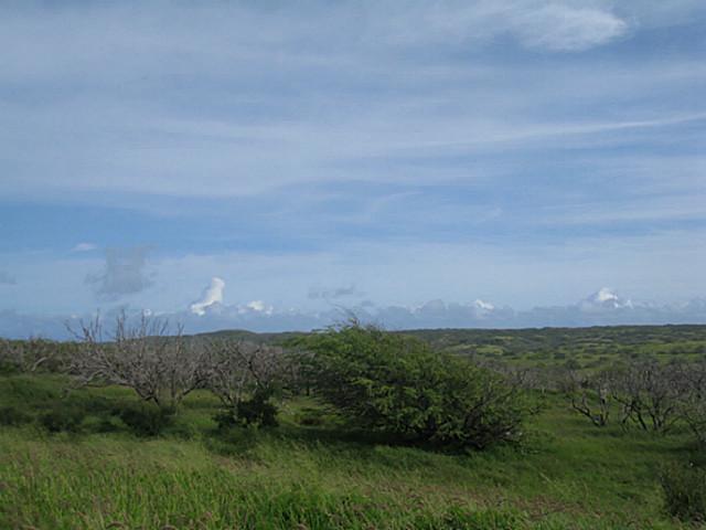55 Kaula Rd  Maunaloa, Hi 96770 vacant land - photo 3 of 6
