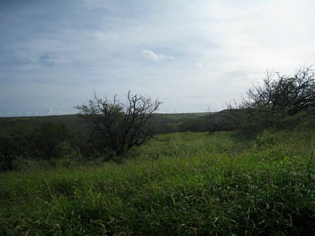 55 Kaula Rd  Maunaloa, Hi 96770 vacant land - photo 4 of 6