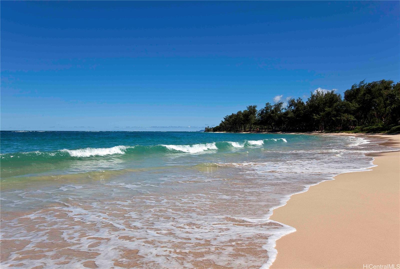 55-137 Kamehameha Hwy B Laie, Hi vacant land for sale - photo 2 of 14