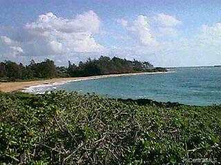 55171 Kam Hwy  LAIE, Hi vacant land for sale - photo 4 of 5