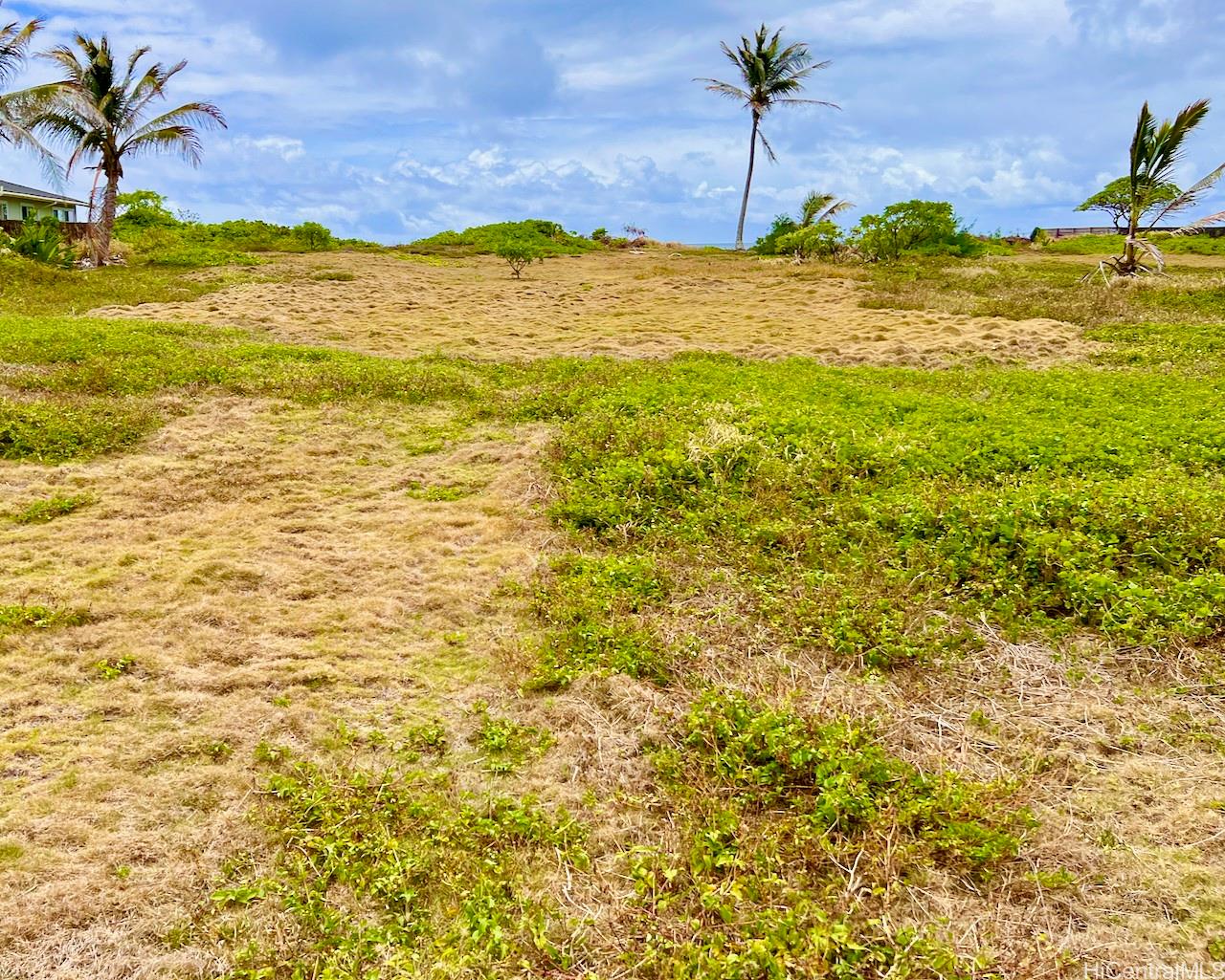 55-297 Kamehameha Hwy B Laie, Hi vacant land for sale - photo 10 of 11